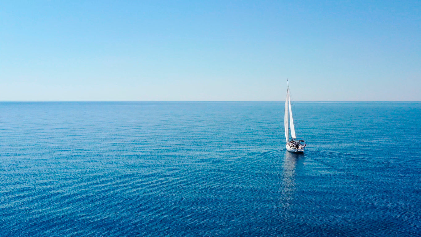 Boating Hook vs. Boat Hook: What They Are and Which One You Need